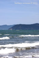 ...ieri: pausa.   giornata meravigliosa