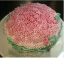 Birthday (flower) cake _  Bonjour jeunesse