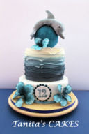 Dolphin Cake