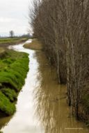 Riflessi [e riflessioni] - post fotografico