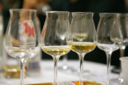 I sensi della grappa.