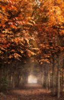 Autunno