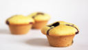 Blueberry Muffin