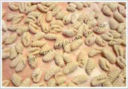 GNOCCHI DI PATATE