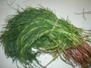 Frittata con gli agretti