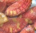 Ravioli di carnevale