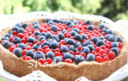 Crostata con crema al limone e frutti di bosco