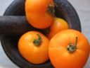 Risotto ai pomodori gialli e funghi!