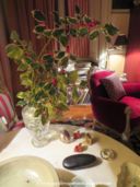 Perchè io? La formazione del tumore casualità o probabilità?