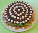 Torta optical per Ada