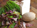 INSALATA DI "QUASI" PRIMAVERA