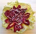 Radicchio , fiore d ' inverno