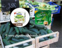 Stevia news : Misura e Dietor nuove formule per dolcificare con meno calorie