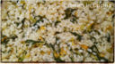 Risotto rucola e fiori di zucca  e Taste Of Milano!