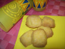 OVIS MOLLIS