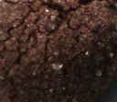 Bimby, Biscotti Morbidi al Cioccolato