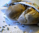 5° World Bread Day 2010