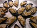 Cozze Gratinate e Saluti