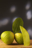 Il Cedro di Calabria