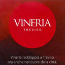 Vineria - Treviso