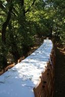Cavolfiori a merenda. Presto anche a Villa Petriolo