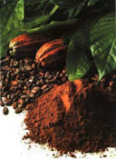 Liquore al cacao