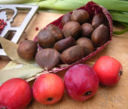 Castagne! Questa è la stagione giusta