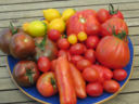 Pomodori e pane...non solo nella panzanella!
