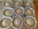 ***MUFFINS CON YOGURT E MIRTILLI***