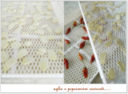 Aglio...olio...e peperoncino!