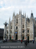 ...cook (academy) & books