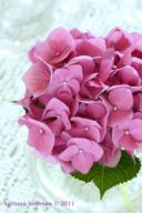 Sono tornata, almeno parzialmente!