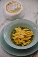 Penne alla casottina con pesto di zucchine