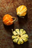 Hard Rock Vegetables - Zucche