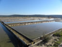 La Camargue slovena si chiama Sicciole....