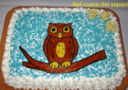 Torta con gufo