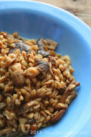 Farro risottato con Funghi Porcini