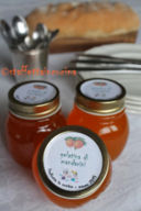 Marmellata di mandarini, quasi una gelatina