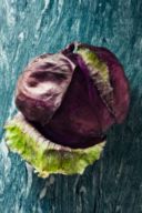 Hard Rock Vegetables - Cavolo Rosso