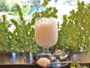 Granita con sciroppo di mandorle