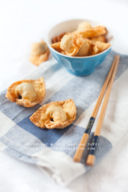 Wonton fritti homemade