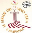 Le strade del vino Campane: i competitors