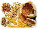CARBOIDRATI. Senza pane, paste, pizze e cereali aumentano gli infarti
