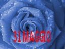 Ricette per il  31 maggio