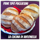 Pugliesini