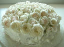 Torta con le fragole