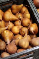 Di biologico, biodinamico, convenzionale e di risate...