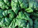 La dieta di ferro per le ragazze