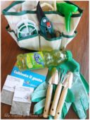Da Coca-Cola- Nestea Green Tea Citrus-