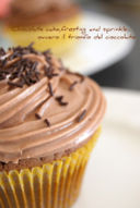 Chocolate cake, frosting and sprinkle...ovvero il trionfo del cioccolato